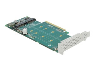 Delock PCI Express x8 Card to 2 x internal NVMe M.2 Key M - Bifurcation - storage controller - M.2 NVMe Card - PCIe 4.0 x8