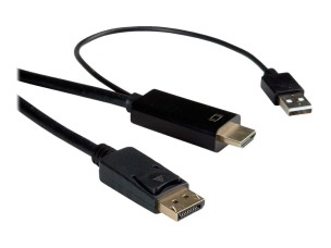 Roline video cable - DisplayPort / HDMI - 3 m