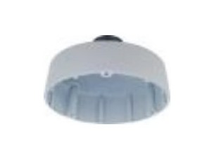 Ernitec camera pendant cap