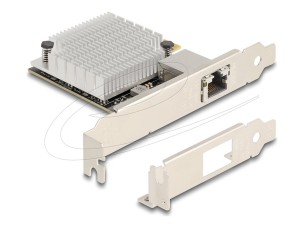 Delock - network adapter - PCIe 3.0 x4 - 100M/1G/2.5G/5G/10 Gigabit Ethernet x 1