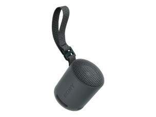 Sony SRS-XB100 - speaker - for portable use - wireless