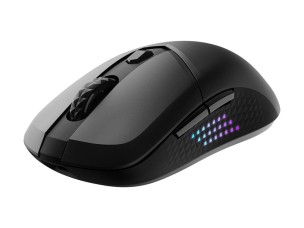 MSI VERSA 300 ELITE - mouse - 2.4 GHz, Bluetooth 5.3, USB