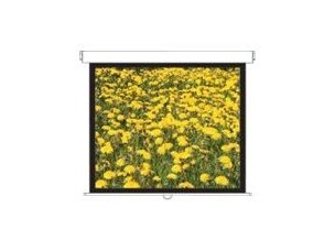 Optoma Panoview Pull Down Manual DS-3120PMG+ - projection screen - 120" (305 cm)