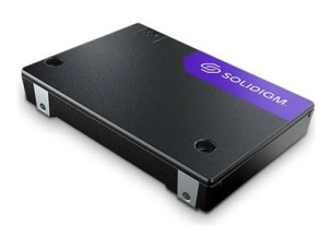 Solidigm D7-PS1010 Series - SSD - Enterprise - 3.84 TB - U.2 PCIe 5.0 x4 (NVMe)