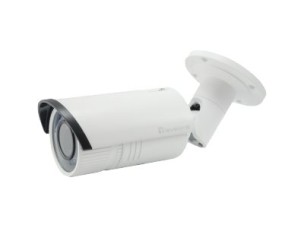 LevelOne FCS-5060 - network surveillance camera