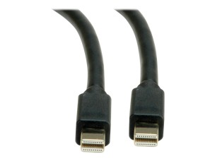 Roline - DisplayPort cable - Mini DisplayPort to Mini DisplayPort - 1 m