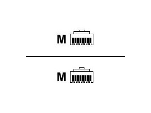 Raritan crossover cable