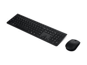 Lenovo Professional - keyboard and mouse set full size - QWERTY - Estonian - grey Input Device