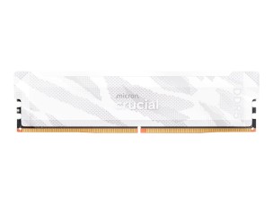 Crucial Pro OC - DDR5 - module - 16 GB - DIMM 288-pin / PC5-51200 - unbuffered