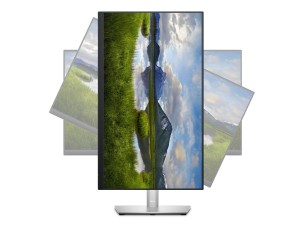 Dell P2423D - LED monitor - QHD - 24" - TAA Compliant