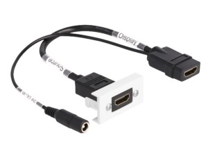 Delock Easy 45 - snap-in module - with DC feed 2.1 x 5.5 mm and pigtail, 22.5 x 45 mm - 1 audio / video socket - black, white