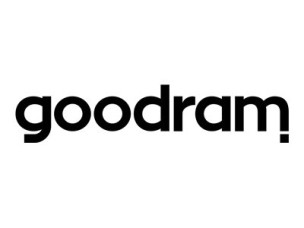 GOODRAM S1A0 - flash memory card - 128 GB - SDXC UHS-I