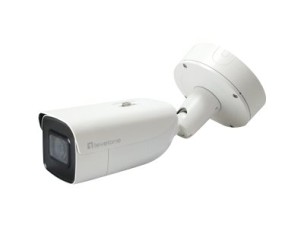 LevelOne GEMINI series FCS-5212 - network surveillance camera