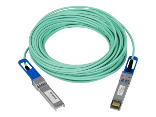 NETGEAR 10GBase direct attach cable - 15 m - 15 m