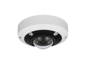 LevelOne FCS-3095 - panoramic camera - dome