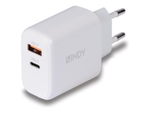 Lindy power adapter - GaN - USB-C, USB - 65 Watt