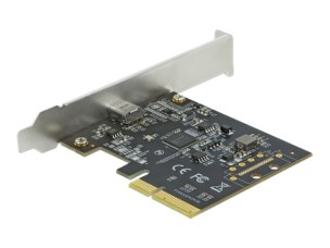 Delock - USB adapter - PCIe 3.0 x4 - USB 3.2 Gen 2x2 x 1