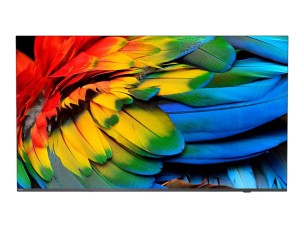Philips 43HFL6214U Professional MediaSuite - 43" LED-backlit LCD TV - 4K - for healthcare / hotel