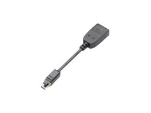 PNY DisplayPort adapter