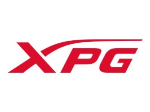 XPG CORE REACTOR II - power supply - 850 Watt