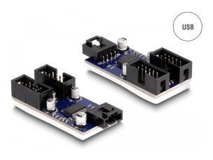 Delock - USB adapter - USB 2.0 x 2