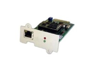 Online USV SNMP/WEB Manager DW7SNMP30 - remote management adapter - 10/100 Ethernet