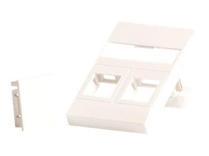 Lanview - wall plate - fits 50x75 mm LK FUGA outlet - white