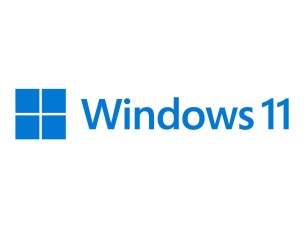 Windows 11 Pro - box pack - 1 licence