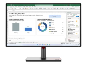 Lenovo ThinkVision P27h-30 - LED monitor - QHD - 27"
