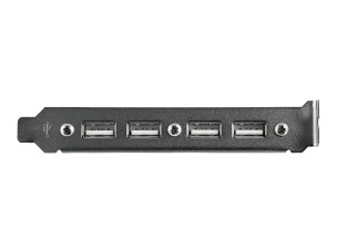StarTech 4 Port USB A Female Slot Plate Adapter - USB panel - 4 pin USB Type A (F) (USBPLATE4) - USB panel - USB to 9 pin IDC