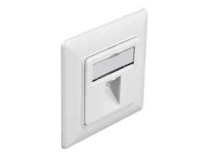 Delock - keystone socket-outlet - pure white, RAL 9010