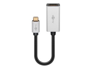 goobay adapter