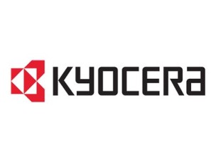 Kyocera IB-33 - print server