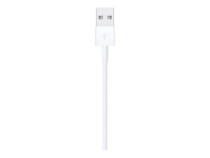Apple Lightning cable - Lightning / USB - 1 m