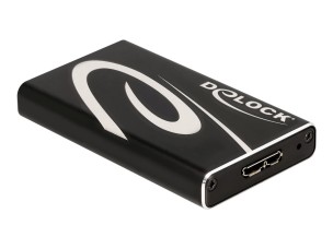 Delock - storage enclosure - mSATA 6Gb/s - USB 3.2 (Gen 1)