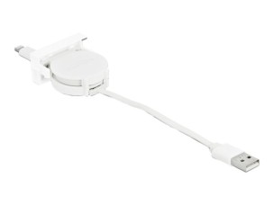 Delock Lightning cable - Lightning / USB 2.0 - 50 cm