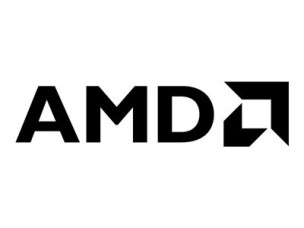 AMD Ryzen 5 5500GT / 3.6 GHz processor - AMD Processors multipack (MPK)