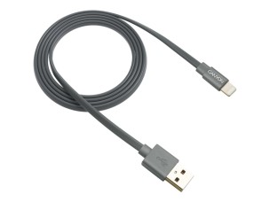 Canyon CNS-MFIC2 - Lightning cable - Lightning / USB - 96 cm