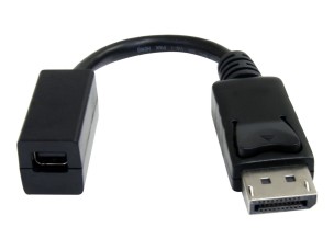 StarTech.com 6in DisplayPort to Mini DisplayPort Video Cable Adapter (DP2MDPMF6IN) - DisplayPort adapter - 15.2 cm