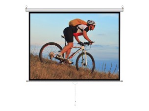 ART MS-150 - projection screen - 150" (381 cm)