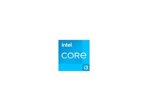 Intel Core i3 13100 / 3.4 GHz processor - OEM