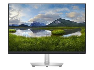 Dell P2423 - LED monitor - 24"