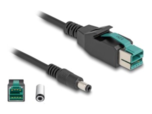 Delock - PoweredUSB cable - USB PlusPower (12 V) to DC jack 5.5 x 2.5 mm - 3 m
