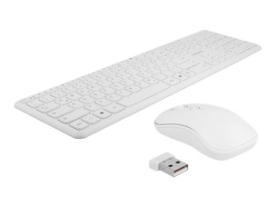 Delock - keyboard and mouse set - QWERTZ - German - white Input Device