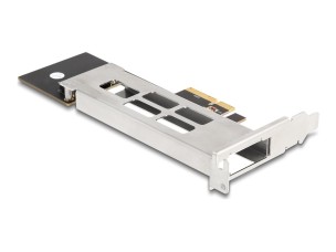 Delock - storage mobile rack - M.2 NVMe Card - PCIe 4.0 x4